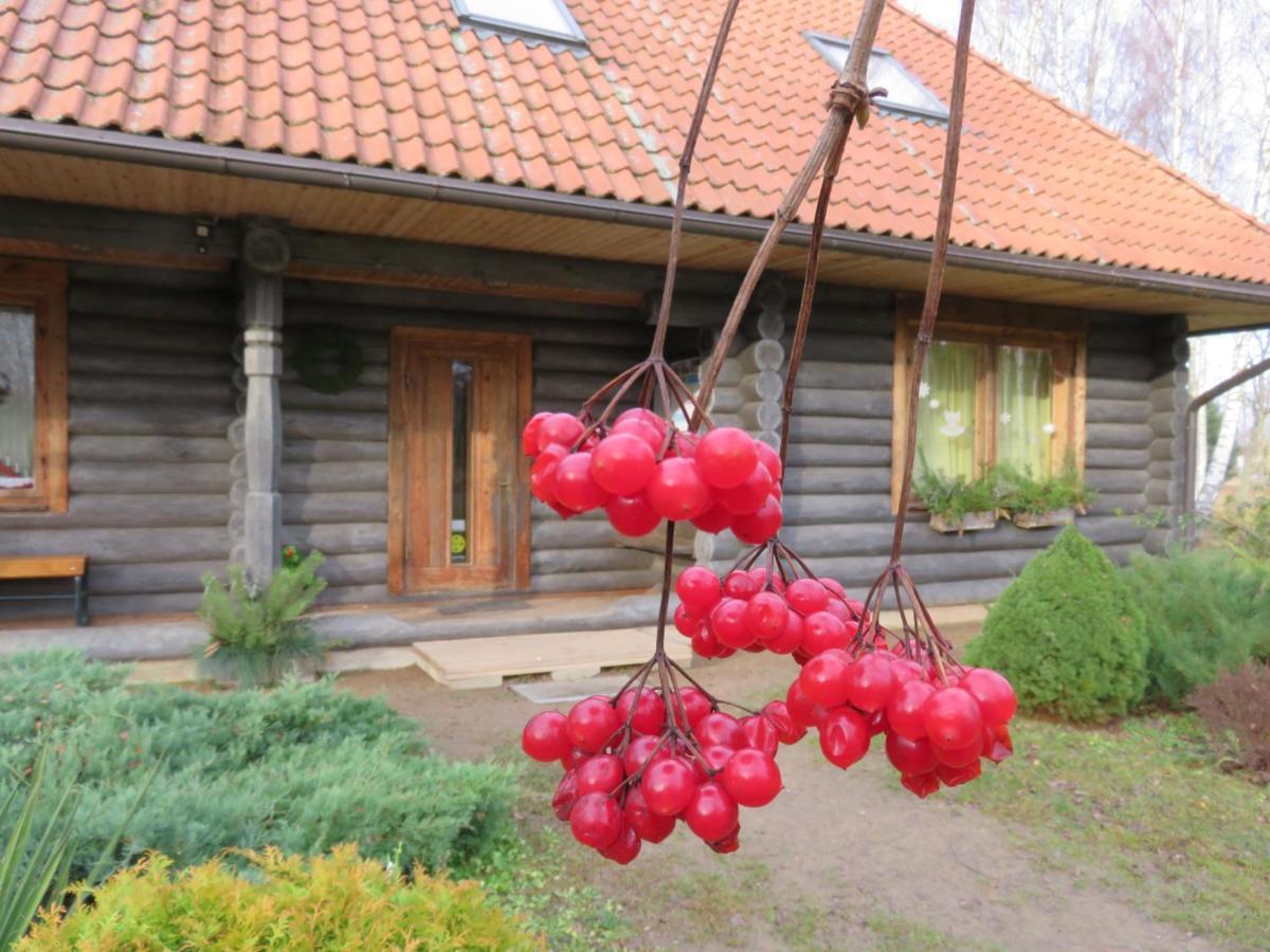 Guest House Leveri Valgalciems Exterior foto